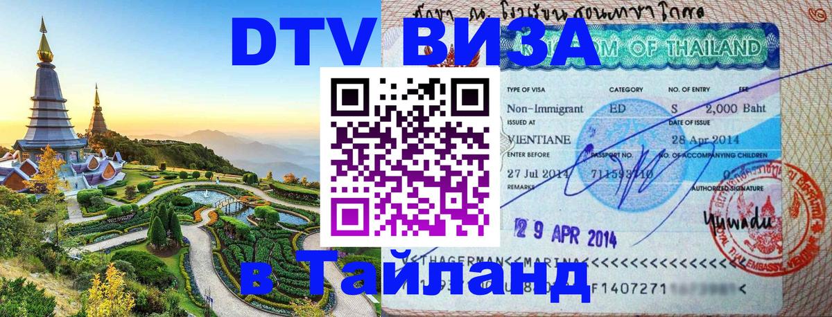 Сколько стоит DTV виза — актуальные цены, оформление даже без документов - 19.11.2025 